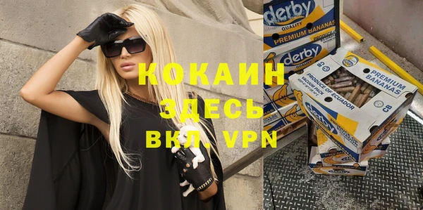 ешки Новозыбков