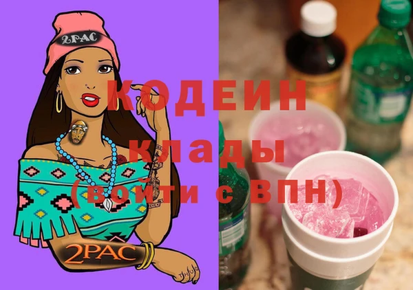 хмурый Нея