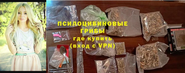 ешки Новозыбков