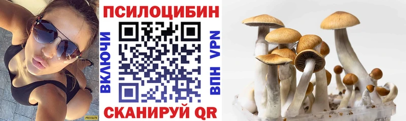 Псилоцибиновые грибы Cubensis  Зеленокумск 