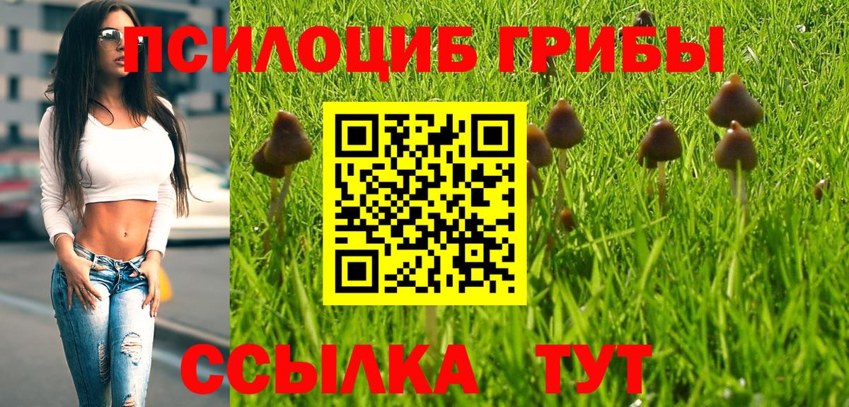 Зеленокумск  Псилоцибиновые грибы мухоморы  Вход с VPN 