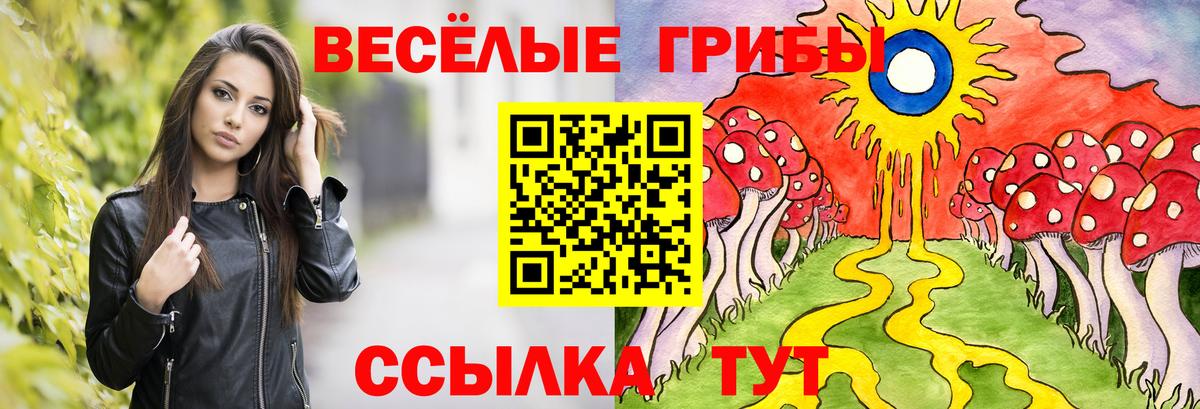 как найти   Зеленокумск  Галлюциногенные грибы мухоморы 
